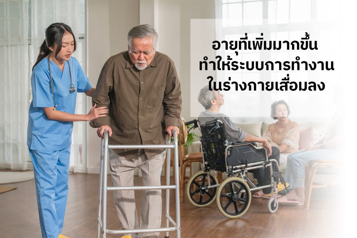 อายุที่เพื่มมากขึ้นทำให้ระบบการทำงานในร่างกายเสื่อมลง อายุที่เพื่มมากขึ้นทำให้ระบบการทำงานในร่างกายเสื่อมลง