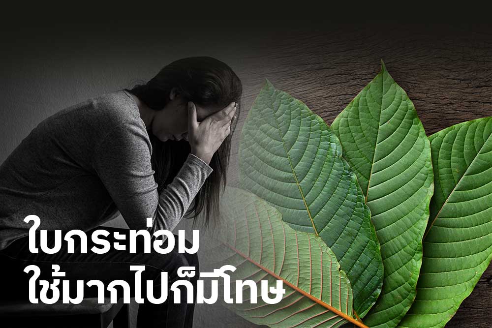 ใบกระท่อมใช้มากไปก็มีโทษ ใบกระท่อมใช้มากไปก็มีโทษ